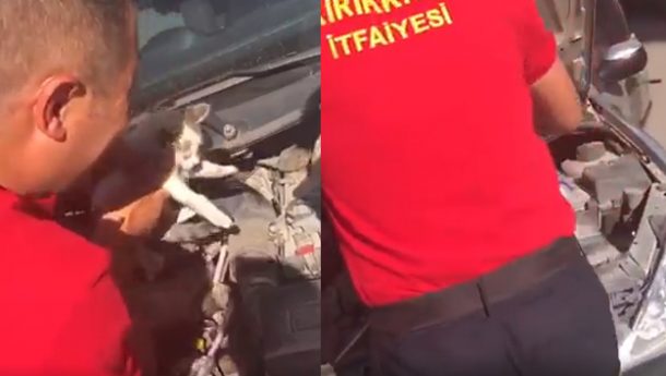 Kırıkkale İtfaiyesi Otomobil Motoruna Sıkışan Kediyi Kurtardı