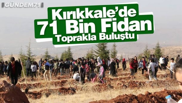 Kırıkkale’de 71 Bin Fidan Toprakla Buluştu