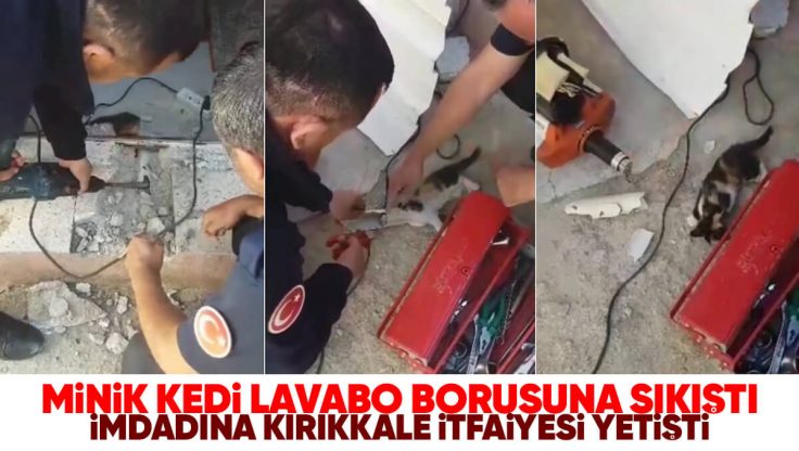 Kırıkkale’de Lavabo Borusuna Sıkışan Yavru Kedi Kurtarıldı