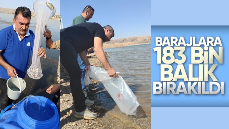 Kırıkkale’de Barajlara 183 Bin Balık Yavrusu Bırakıldı