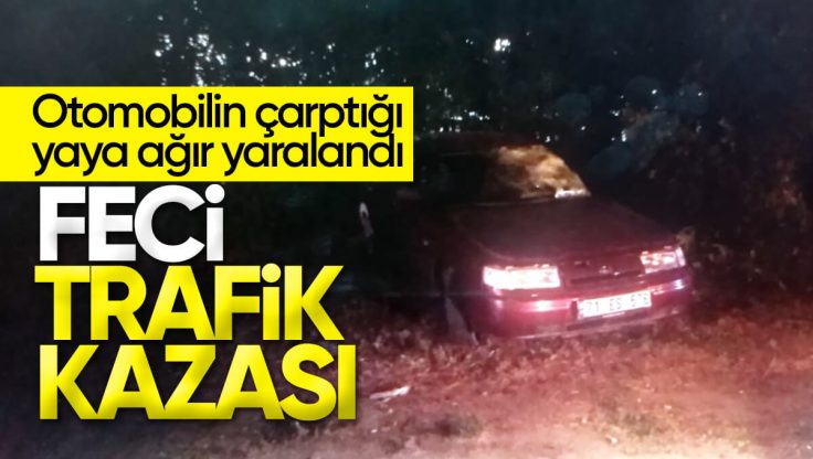Kırıkkale’de Feci Trafik Kazası; Otomobilin Çarptığı Yaya Ağır Yaralandı