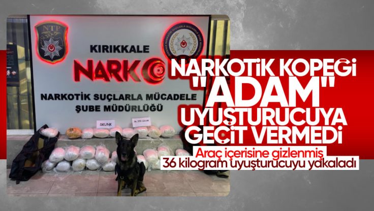 Kırıkkale’de Narkotik Köpeği Adam İle Uyuşturucu Operasyonu; 36 Kilo Uyuşturucu Ele Geçirildi