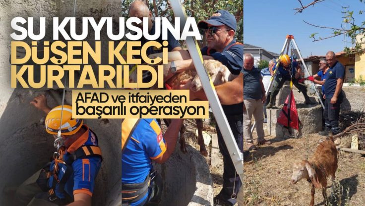 Kırıkkale’de Su Kuyusuna Düşen Keçi Kurtarıldı