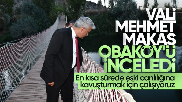 Kırıkkale Valisi Mehmet Makas OBAKÖY’de İncelemelerde Bulundu