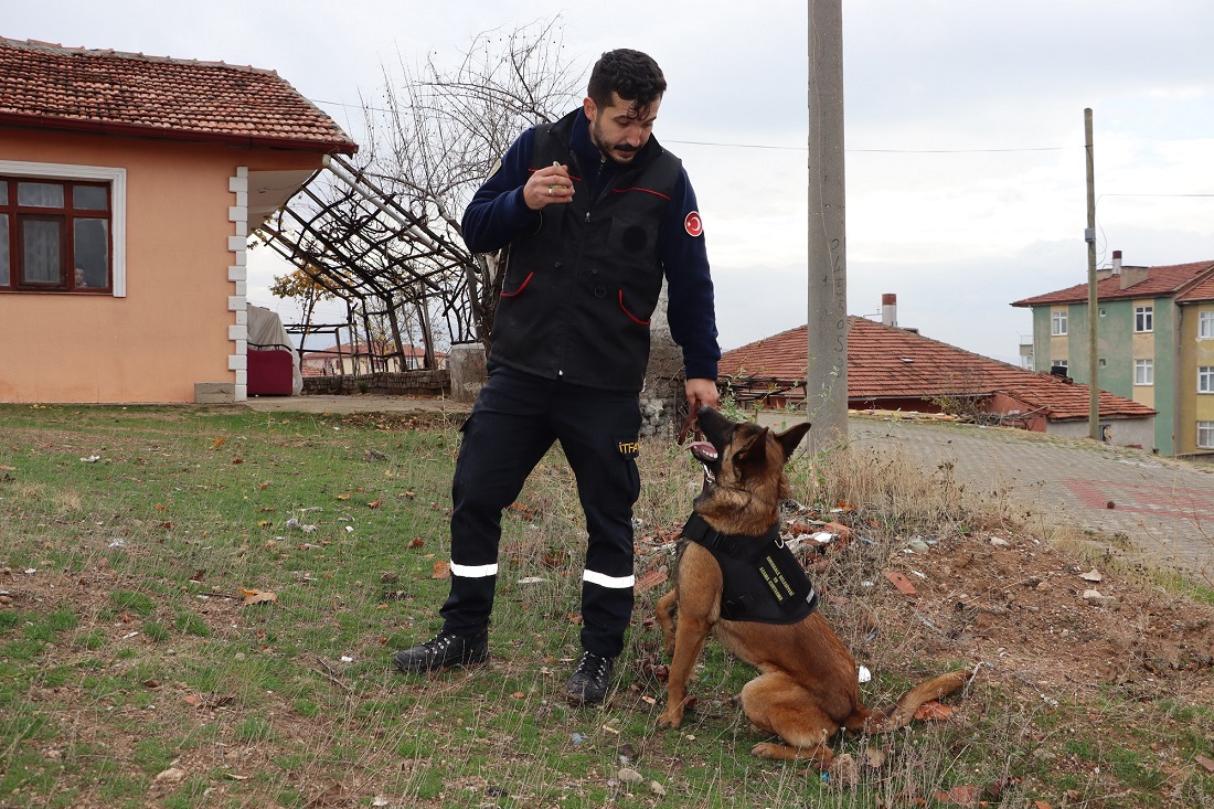 1 Kırıkkale'nin Arama Kurtarma Köpeği 'İGLO' Eğitimlerini Tamamladı
