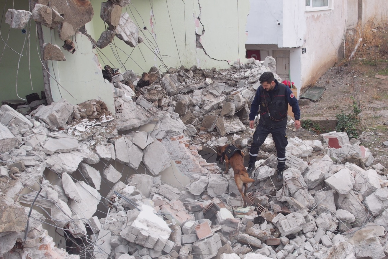 3 Kırıkkale'nin Arama Kurtarma Köpeği 'İGLO' Eğitimlerini Tamamladı