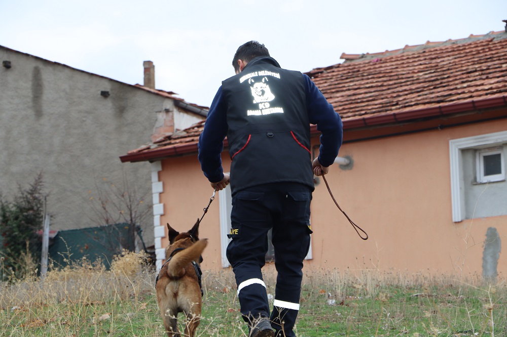 IMG_7751 Kırıkkale'nin Arama Kurtarma Köpeği 'İGLO' Eğitimlerini Tamamladı