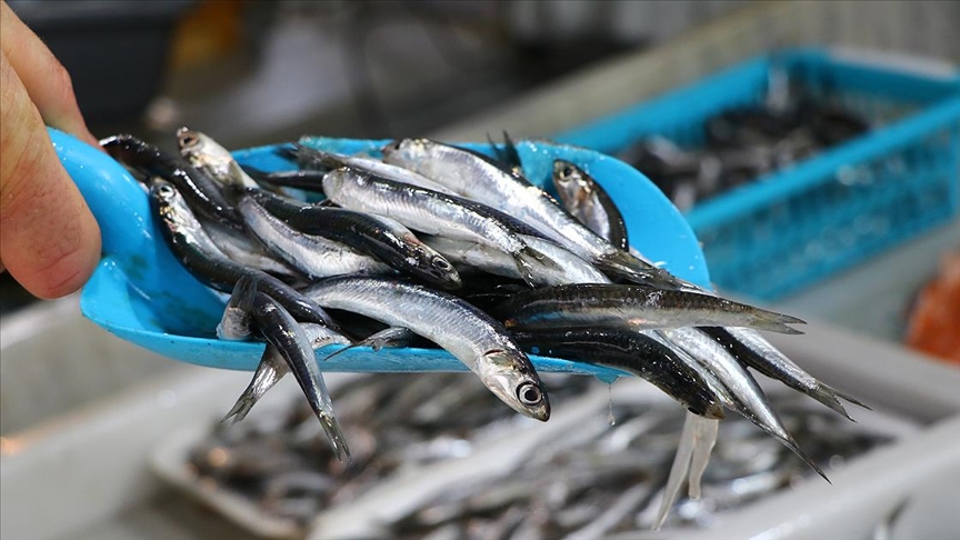 hamsi Kırıkkale'de Bu Market Hamsi ve İstavriti 30 Liraya Satıyor! Balık Severler Akın Ediyor