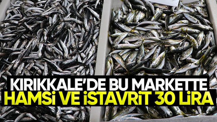 Kırıkkale’de Bu Market Hamsi ve İstavriti 30 Liraya Satıyor! Balık Severler Akın Ediyor