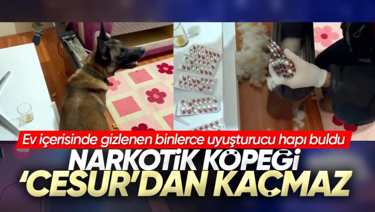 Kırıkkale’de Narkotik Köpeği ‘Cesur’ Gizlenen Binlerce Uyuşturucu Hapı Elektrikli Sobada Buldu