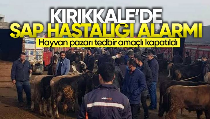 Kırıkkale’de Şap Hastalığı Alarmı, Hayvan Pazarı Kapatıldı