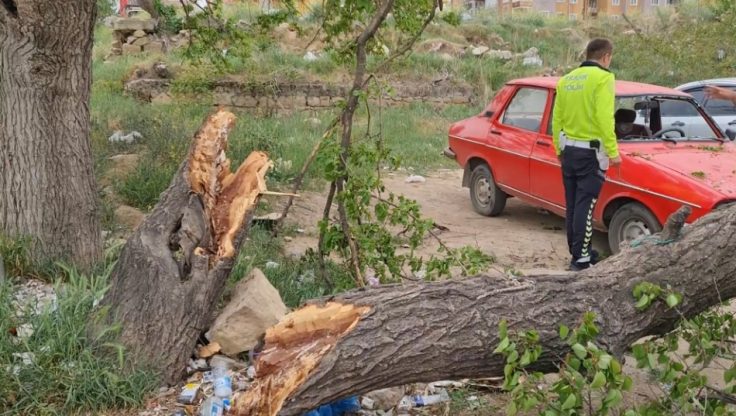 Kırıkkale’de Fırtına Etkili Oldu, Ağacı Gövdesinden Kırdı