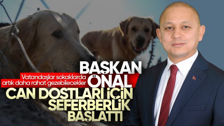 Ahmet Önal, Kırıkkale’de Sokak Hayvanları İçin Seferberlik Başlattı