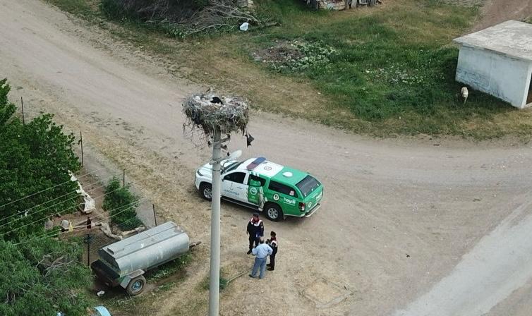 kirikkale-leylek-jandarma-korumasi-7 Kırıkkale'de Jandarma Ekipleri Leylekleri Korumak İçin Çalışma Yapıyor
