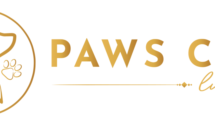 Köpekler İçin En Besleyici Köpek Mamaları Hangileri?