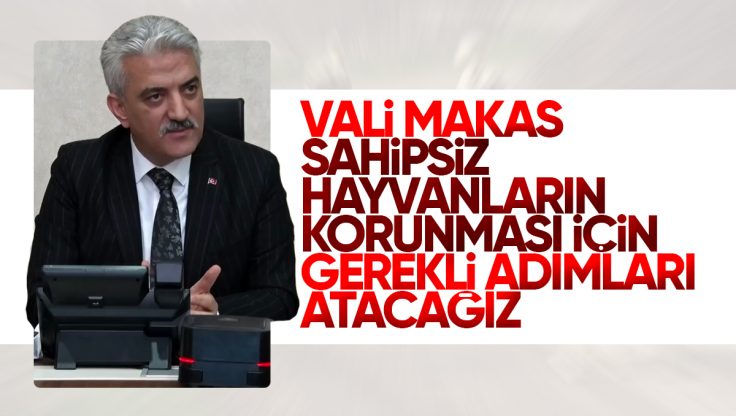 Kırıkkale’de Sahipsiz Hayvanlar İçin Yeni Tedbirler Masaya Yatırıldı