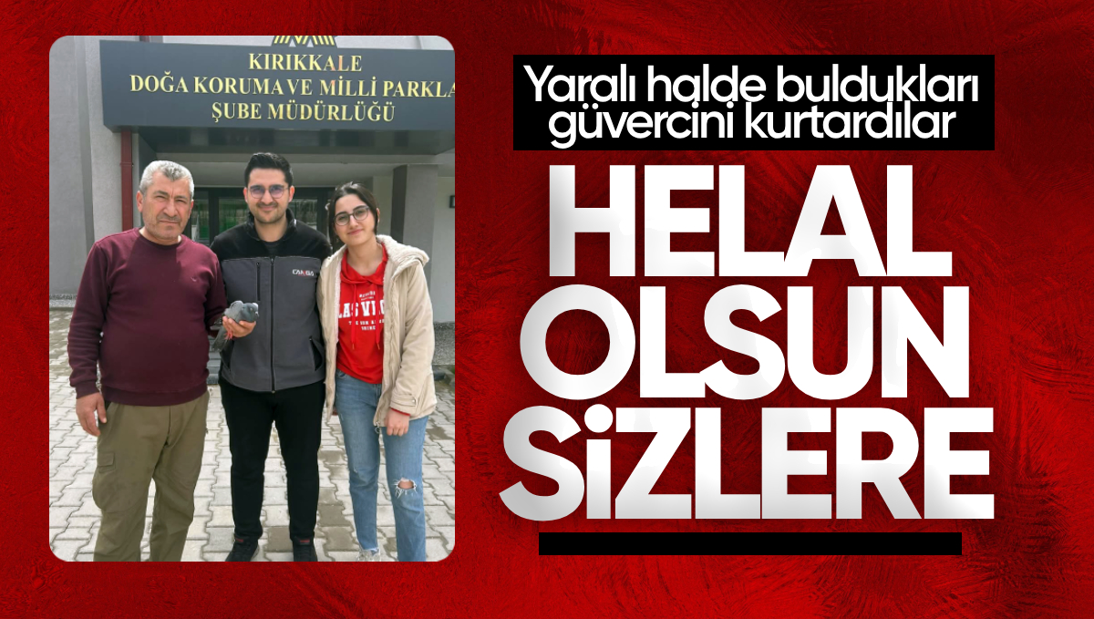 Kırıkkale’de Duyarlı Vatandaşlardan Güvercin Kurtarma Hareketi