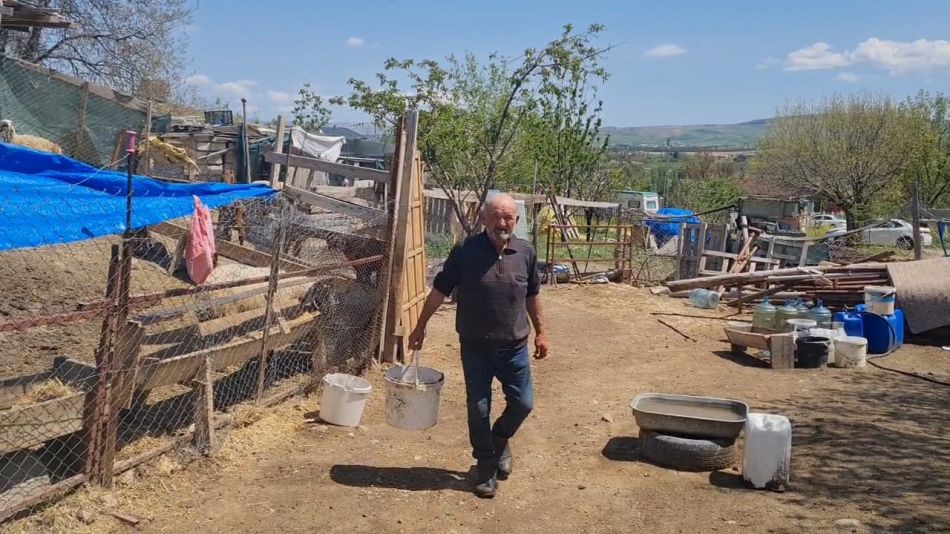 Kırıkkale'de Kurt Dehşeti: Gözü Gibi Baktığı 30 Küçükbaş Hayvan Telef Oldu 1 1746353441 whatsapp image 2025 05 04 at 12.50.43 2