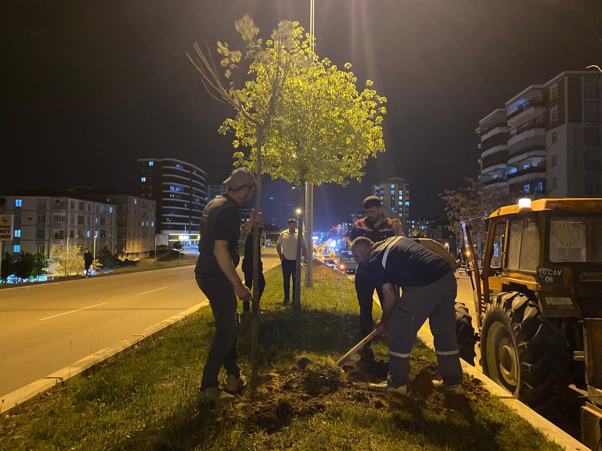 Kırıkkale Belediyesi Alparslan Türkeş Bulvarı'na Gece Mesaisiyle 200 Ihlamur Fidanı Dikti 2 495254433 1144381151064544 4043083071275050811 n
