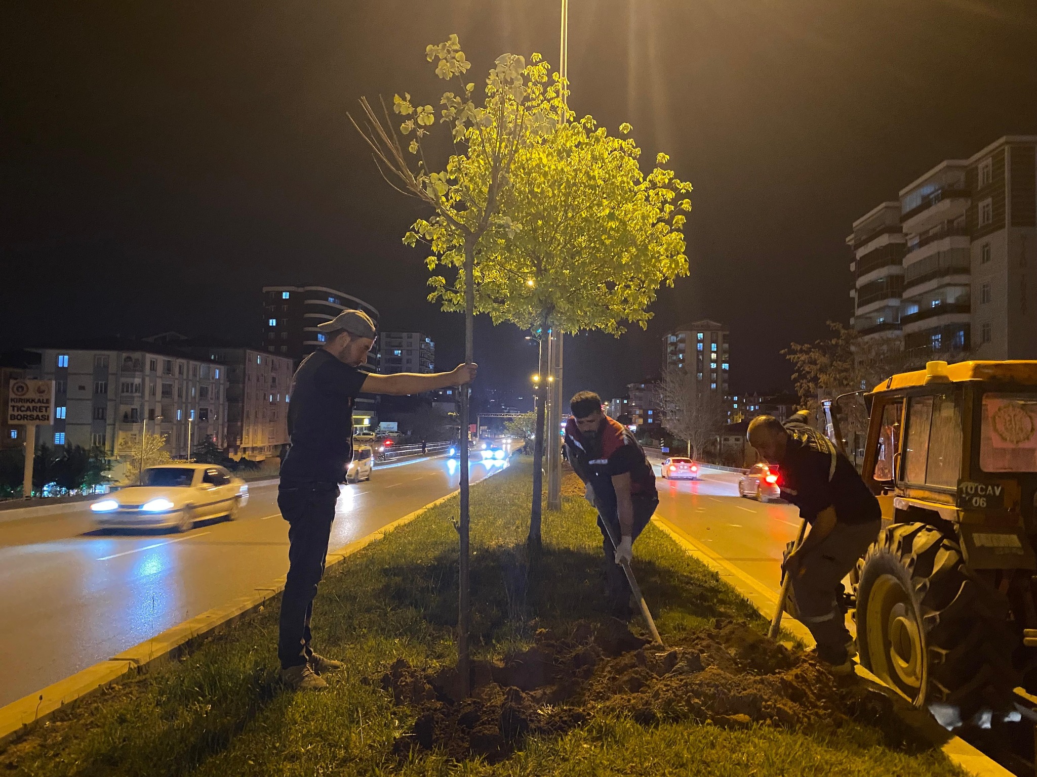 Kırıkkale Belediyesi Alparslan Türkeş Bulvarı'na Gece Mesaisiyle 200 Ihlamur Fidanı Dikti 3 495369836 1144381074397885 1065151805854822985 n