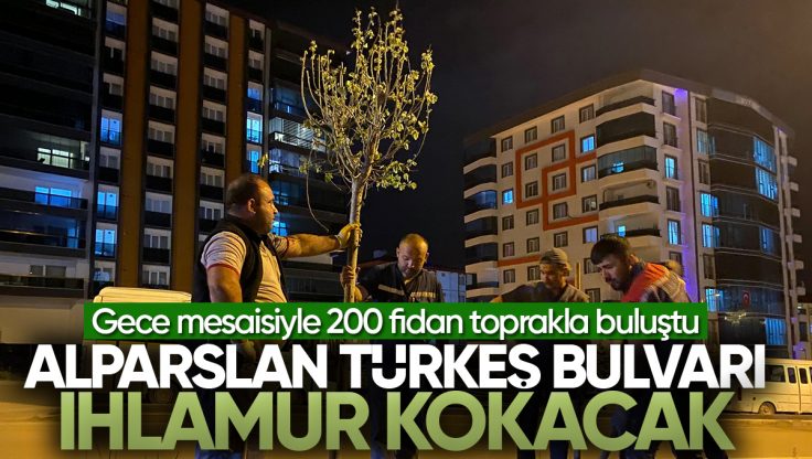 Kırıkkale Belediyesi Alparslan Türkeş Bulvarı’na Gece Mesaisiyle 200 Ihlamur Fidanı Dikti
