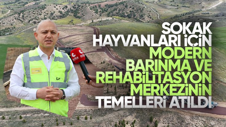 Kırıkkale’de Sokak Hayvanları İçin Modern Barınma ve Rehabilitasyon Merkezinin Temeli Atıldı