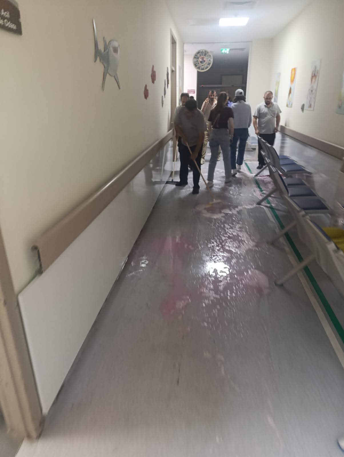 FB IMG 1749474340530