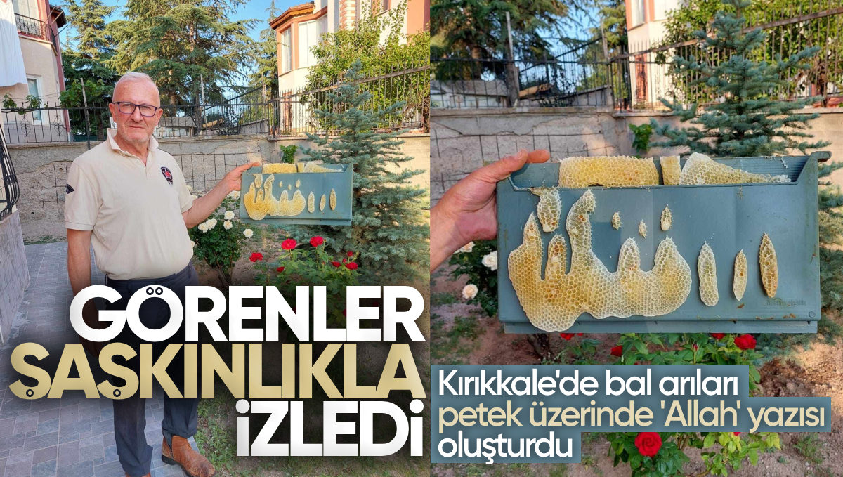 Kırıkkale’de Bal Arıları Petek Üzerinde ‘Allah’ Yazısı Oluşturdu