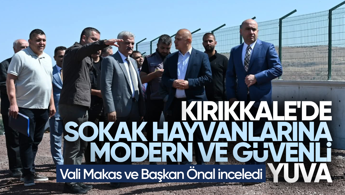 Kırıkkale’de Sokak Hayvanlarına Modern ve Güvenli Yeni Yuva
