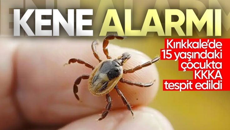 Kırıkkale’de Kene Alarmı: 15 Yaşındaki Çocuğun KKKA Testi Pozitif Çıktı