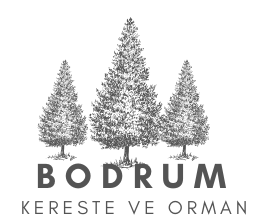 Evlerin Gizli Kahramanı: Dayanıklı ve Estetik Kereste Seçimleri