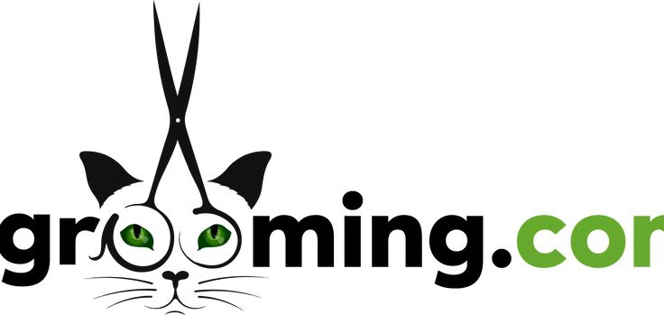 Evcil Dostlar İçin Bakımın Yeni Adı: Animology ile Tanışın