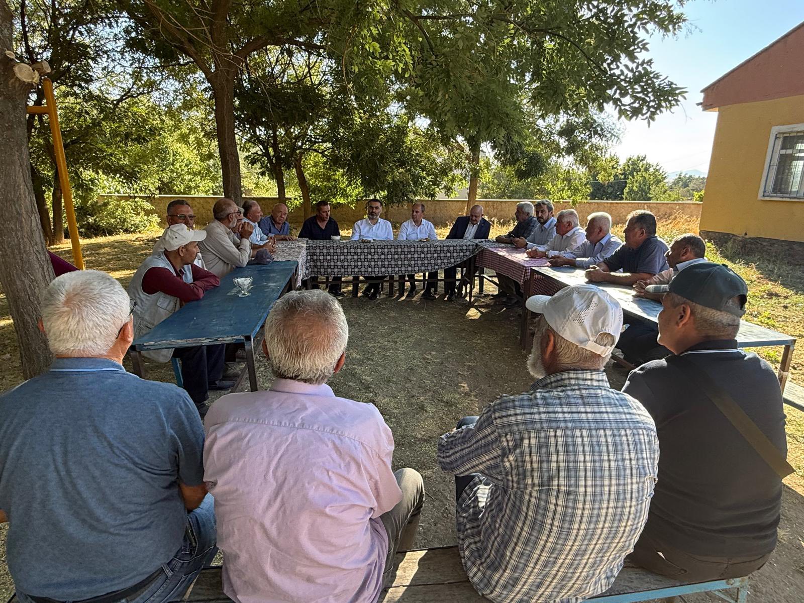 536135194 10163400300742272 1611878587957806232 n