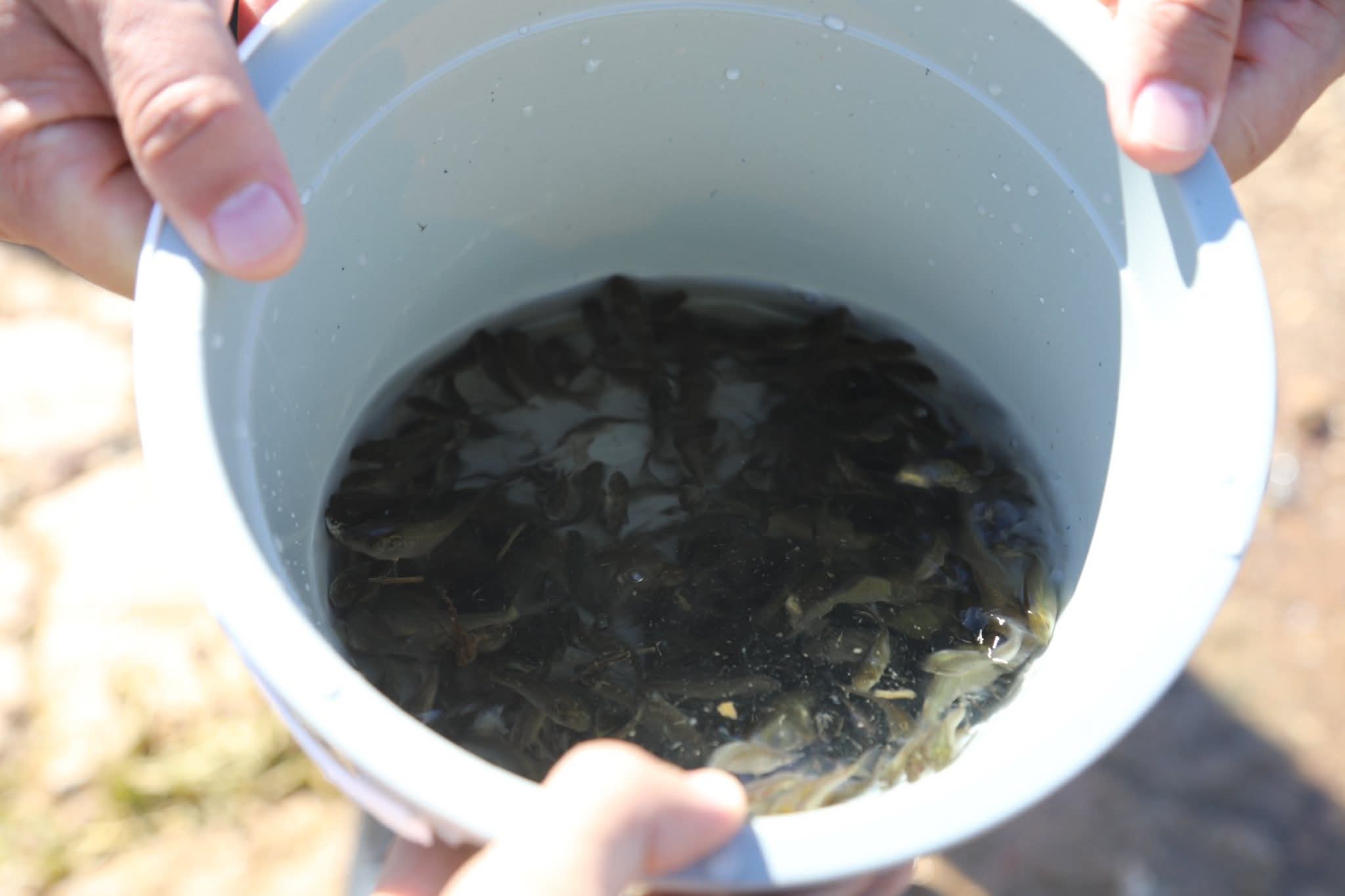 FB IMG 1755075011983