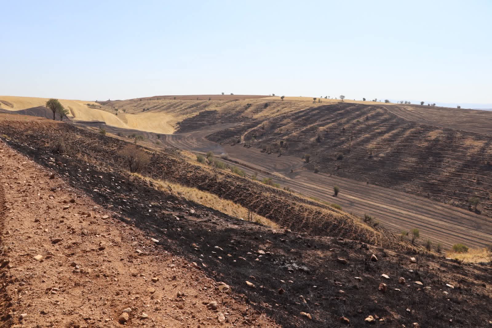 Kırıkkale'de Çıkan Yangında 15 Bin Dönüm Arazi Küle Döndü 2 FB IMG 1755960624562