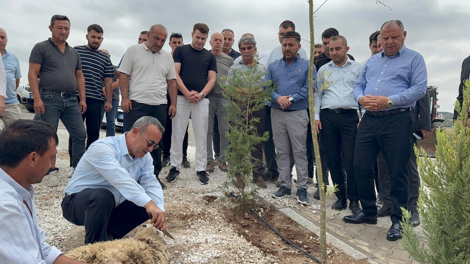 WhatsApp Image 2025 08 03 at 10.20.03 1