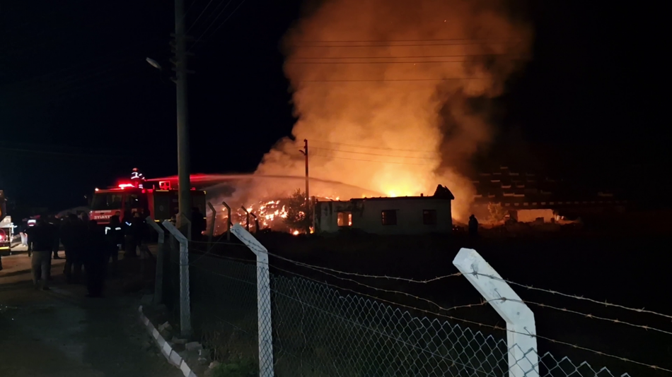 1759791949 1759791497806