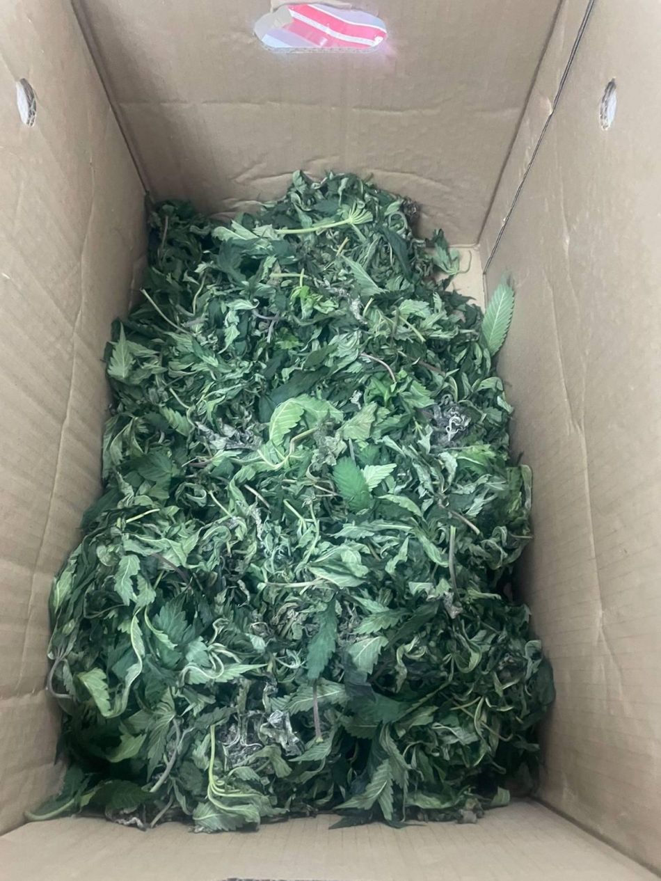 1760000300 whatsapp image 2025 10 09 at 07.48.23 1