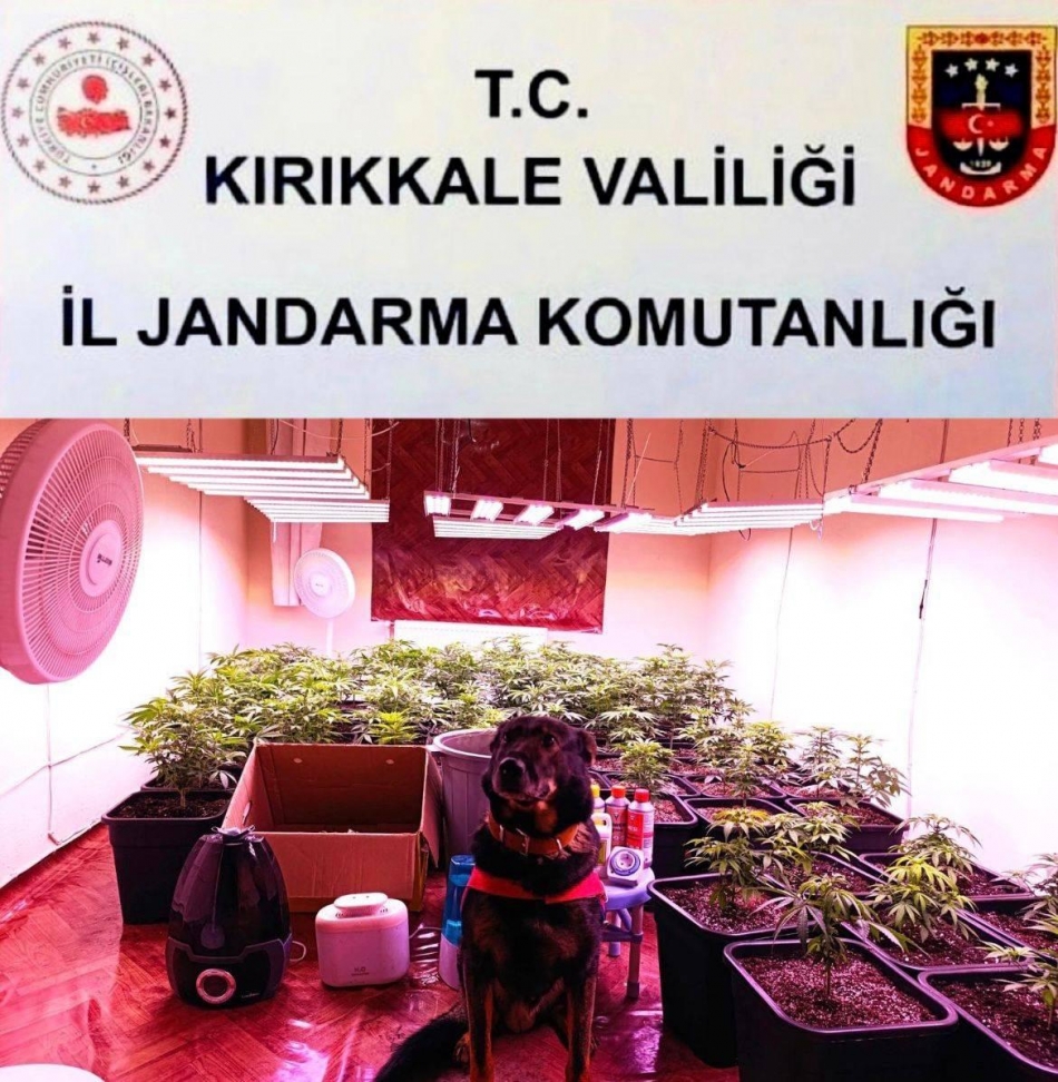 1760000301 whatsapp image 2025 10 09 at 07.48.23