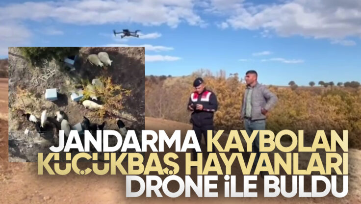 Kırıkkale’de Jandarma Dronu Yardımıyla Kaybolan 15 Küçükbaş Hayvan Güvenle Geri Getirildi