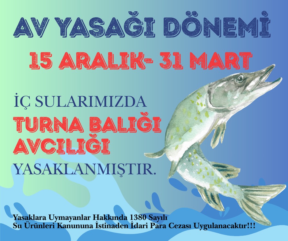 Kırıkkale'de Turna Balığı İçin Av Yasağı Başladı: 31 Mart'a Kadar Sürecek 1 596503956 122155336712822273 3800169423853259819 n