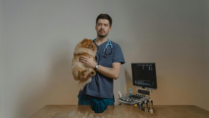 “Yakınlarda İyi Bir Fikirtepe Veteriner Var Mı” Diye Soranlara Özel Rehber