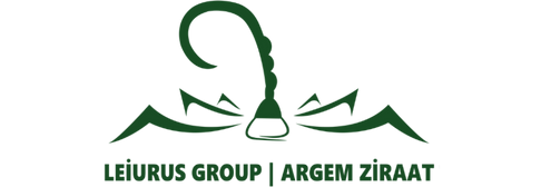 Mekânlara Kimlik Kazandıran Güç: İç Mimarlık Anlayışında Yeni Bir Dönem