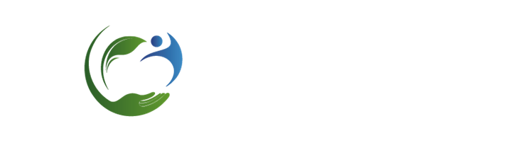 Dijital Şeffaflığın Yeni Standardı: CONALT Resmi Sitesi