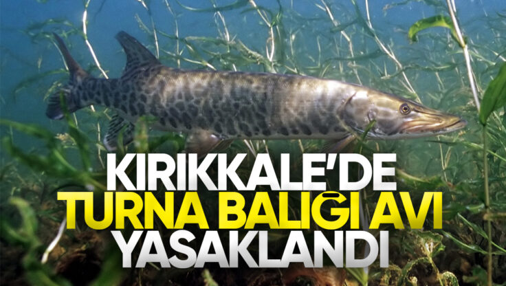 Kırıkkale’de Turna Balığı İçin Av Yasağı Başladı: 31 Mart’a Kadar Sürecek