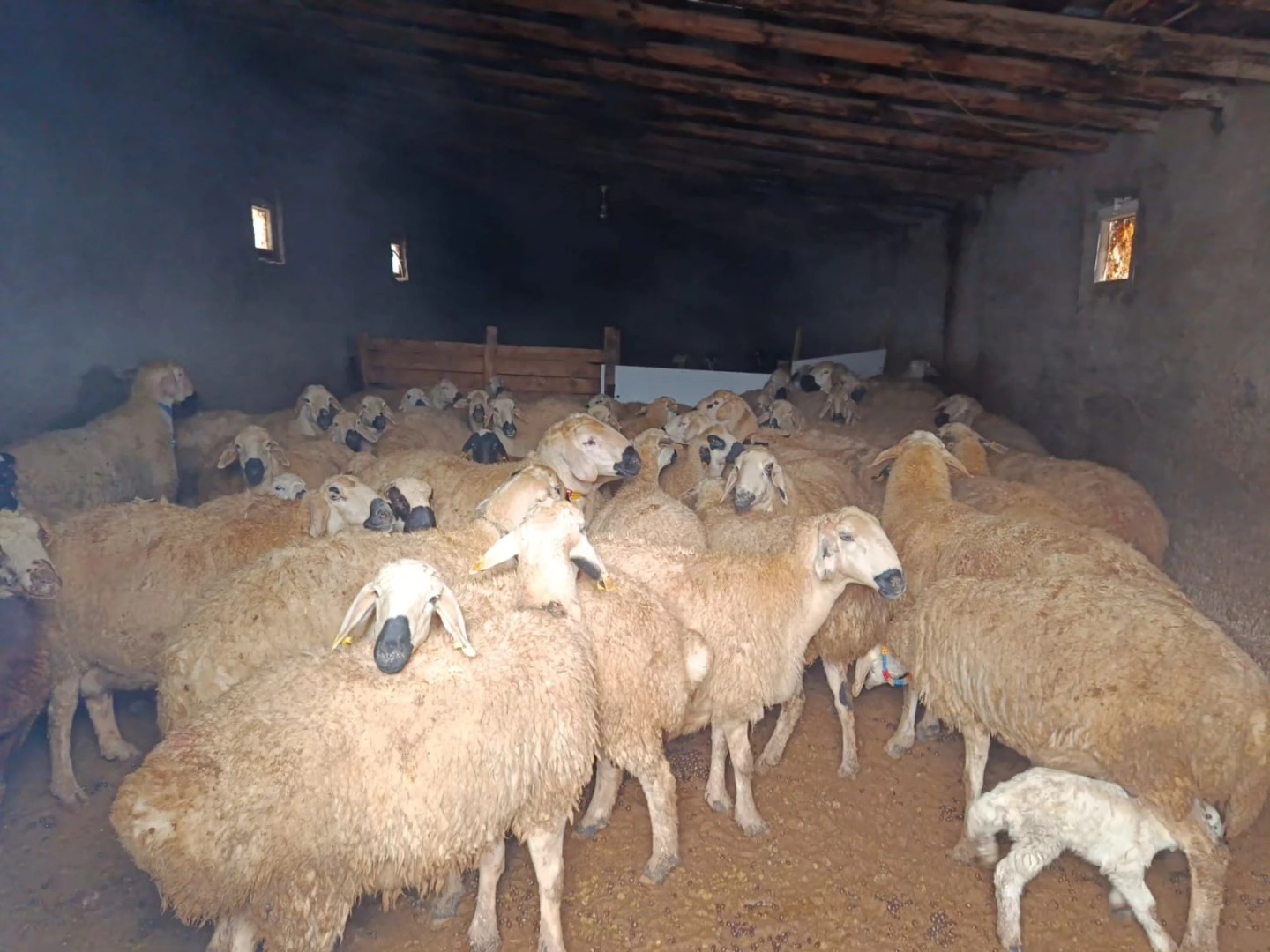 622362211 1190823446556587 3866250036444884961 n