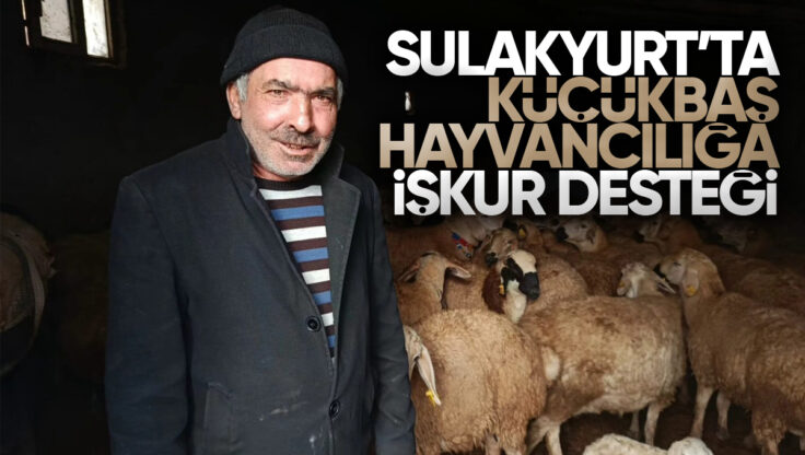 Sulakyurt’ta Küçükbaş Hayvancılığa İŞKUR Desteği