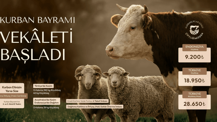 Kurban Bağışında Yalnız Değilsiniz