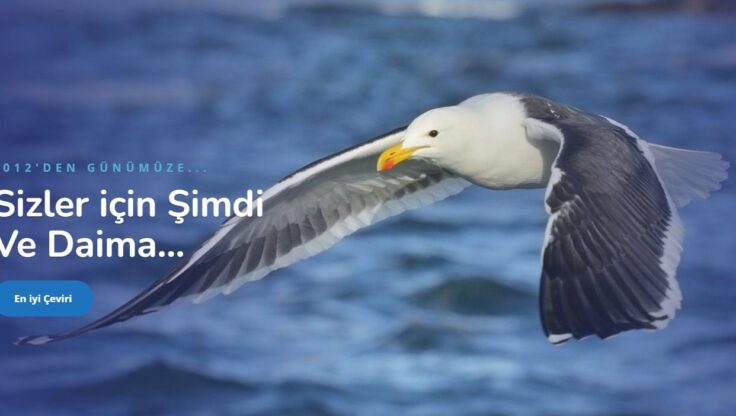 İngilizce Çeviri Ücretleri – Tercüme