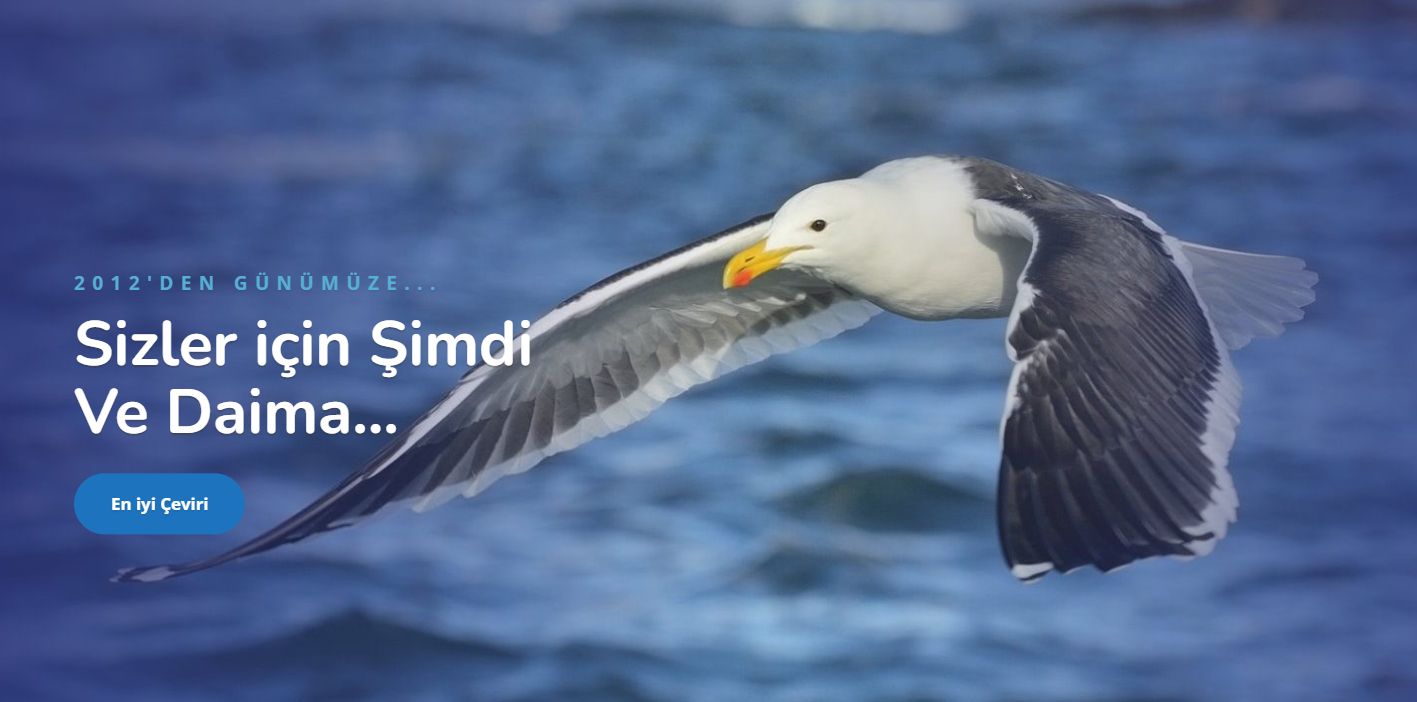 İngilizce Çeviri Ücretleri – Tercüme